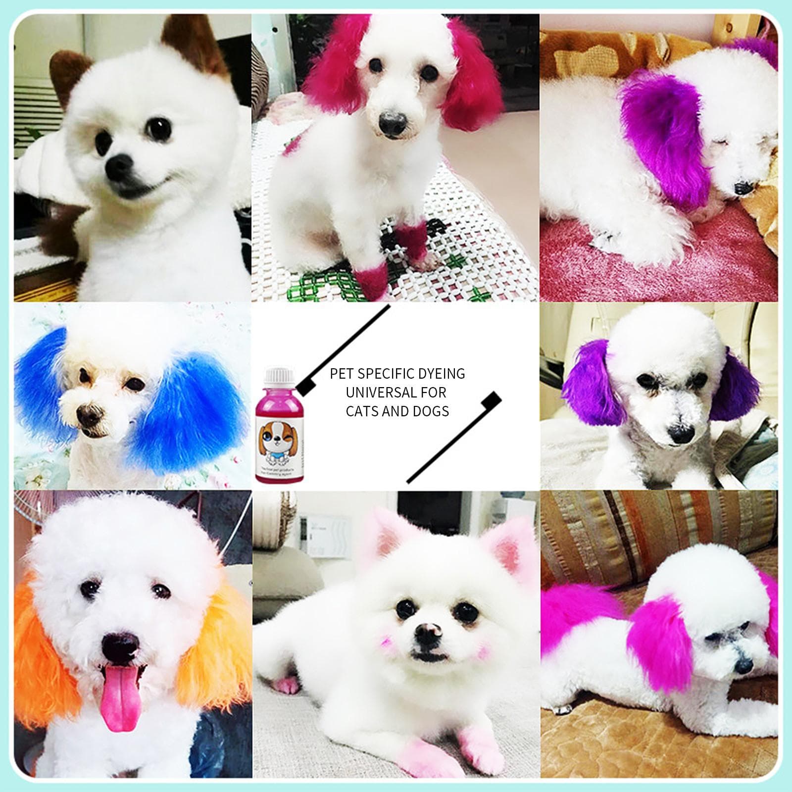 Shampooing colorant pour chiens Coloration semi-permanente des poils de chien Shampooing sans danger Sans shampooing