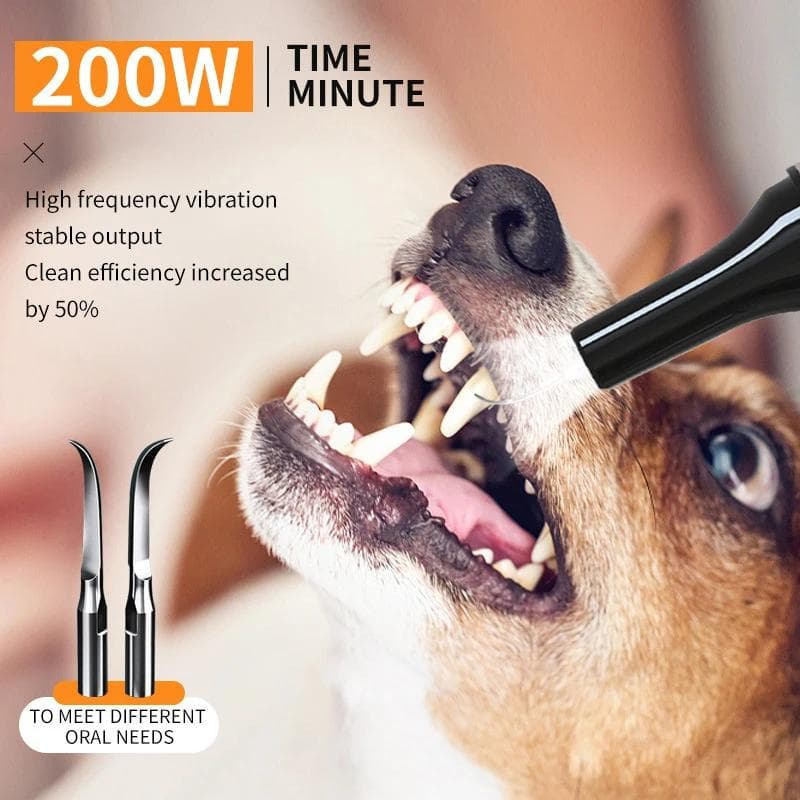 Nettoyeur Dentaire Ultrasonique pour Chien Portable Professionnel Toilettage Animal Nettoyeur Dentaire Puissance 200W Cinq Vitesses Produits de Nettoy