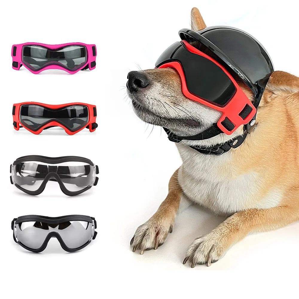 Pour chiens de petites races Lunettes pour chiens Lunettes pour animaux de compagnie Petites lunettes pour grands chiens Lunettes de moto pour chien V