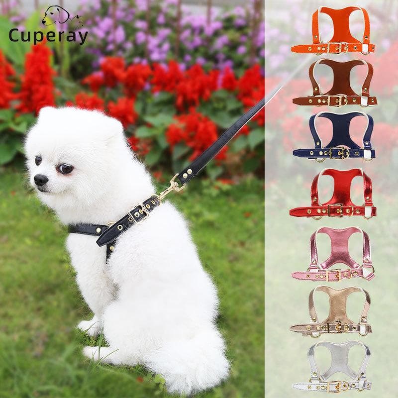 Harnais pour chiot en cuir et laisse Harnais pour chat réglable Fournitures pour animaux Promener le chien Dehors Petits chiens Chat Méthode Pitbull