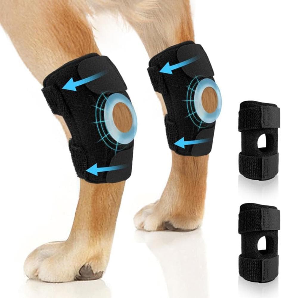 Genouillère pour chien adaptée à la récupération de la perte de stabilité causée par l'arthrite
