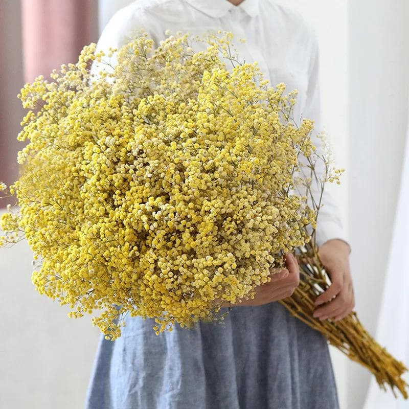 Bouquet de Fleurs Gypsophile Séchées 90g Fleurs Séchées Naturelles Saint-Valentin Mariage Décoration Table de Maison Décoration de Noël orange