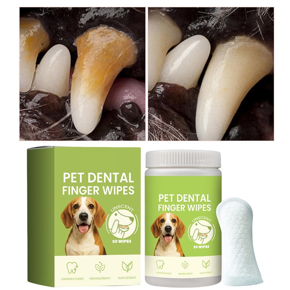 50 lingettes de nettoyage pour dents de chien éliminent la mauvaise haleine lingettes pour doigts dentaires pour animaux de compagnie soin des