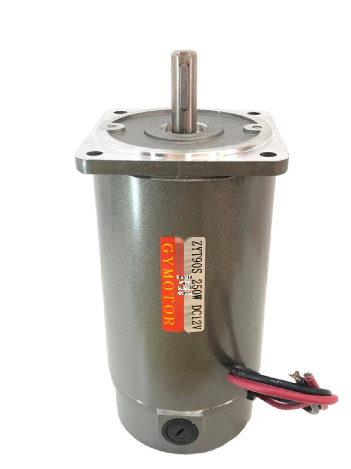 Moteur CC à Balais Carbone ZYT90S 250W 12V/24V/220V 1800/2800 tr/min