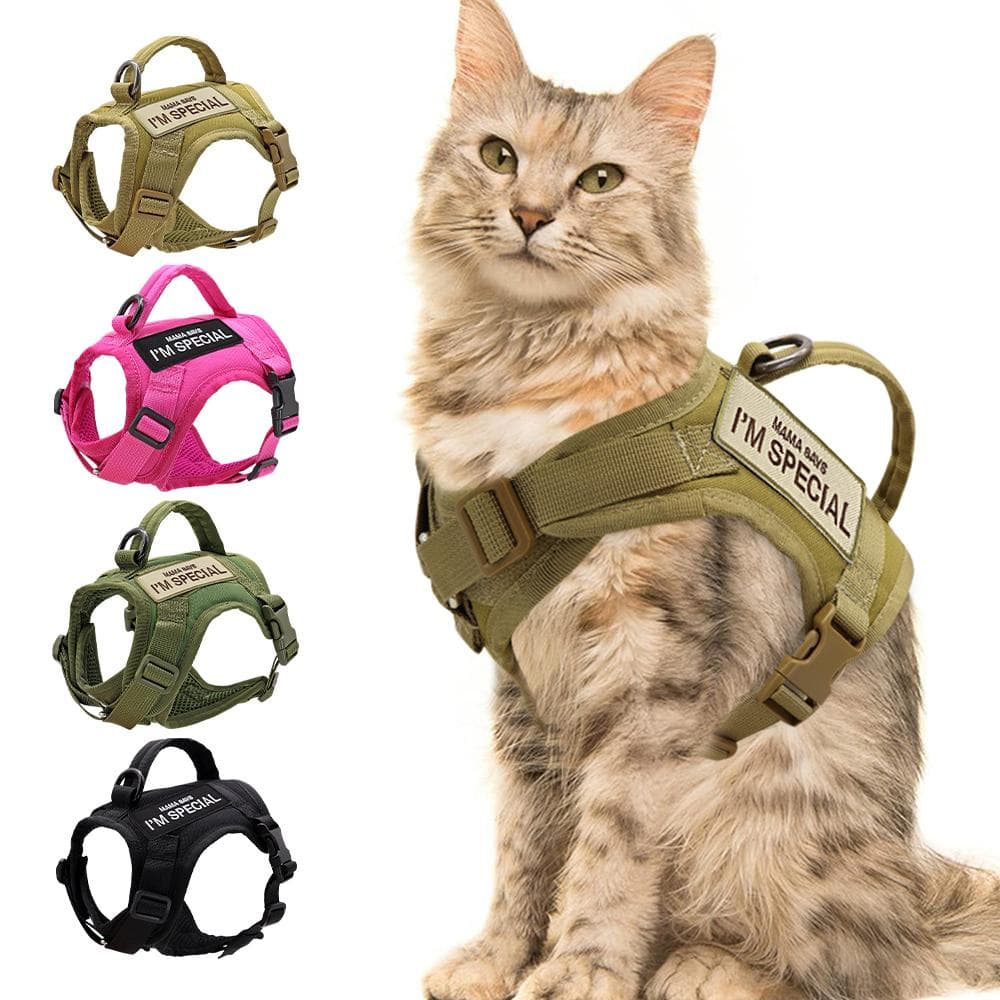 Harnais en nylon pour chat avec 2 autocollants, harnais tactique militaire pour chat avec poignée, pour petits chiens, entraînement pour animaux de