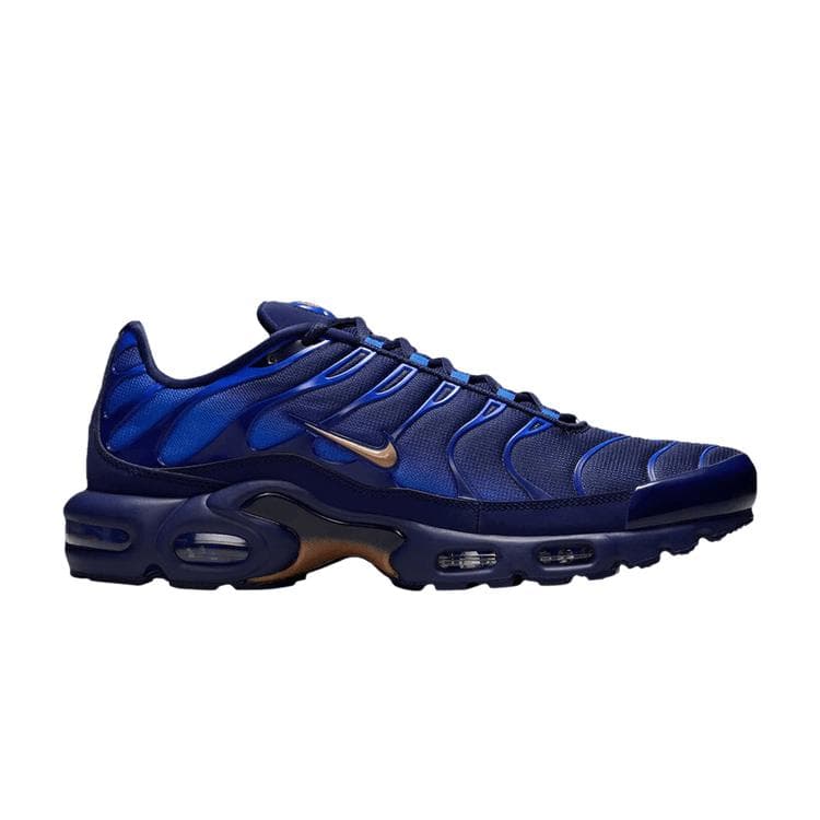 Nike Air Max Plus Fédération Française de Football 40