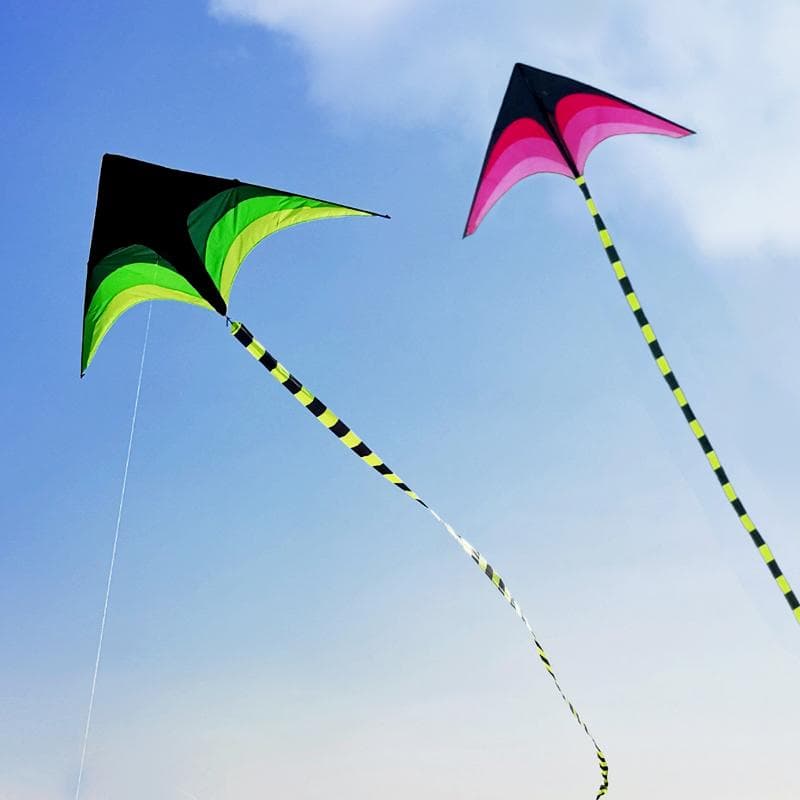 Grand Cerf-volant Delta pour Enfants et Adultes Facile à Voler Grand Énorme Cerf-volant Delta Livré avec Queue de 5m Cerf-volant Facile à Voler