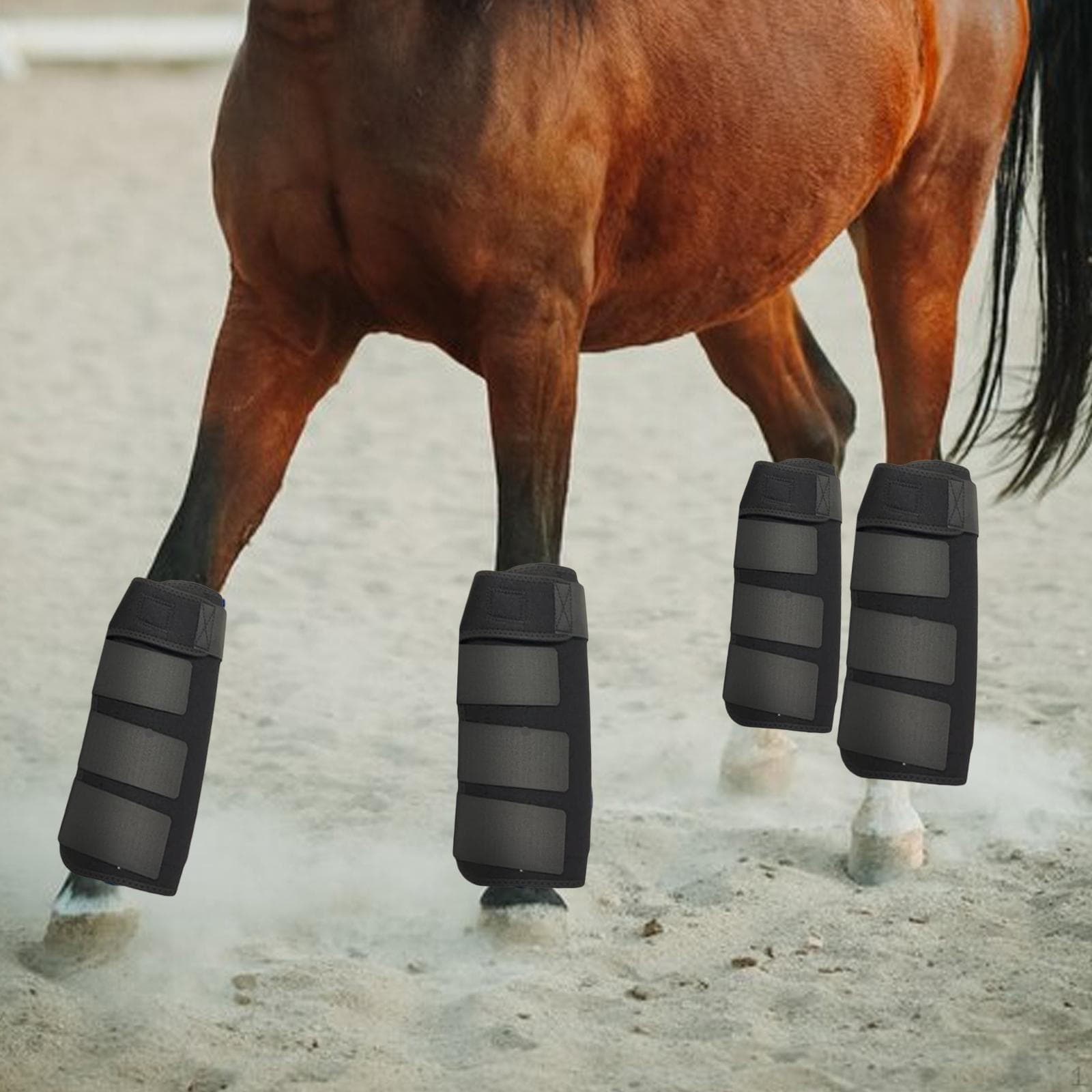 Lot de 4 protège-jambes pour chevaux, durables, respirants et confortables bleu