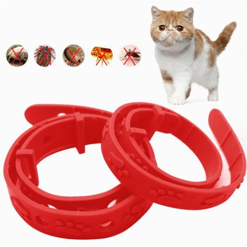 Chat réglable avec élimination efficace des puces, acariens, poux, insecticide, moustique, effet quadruple