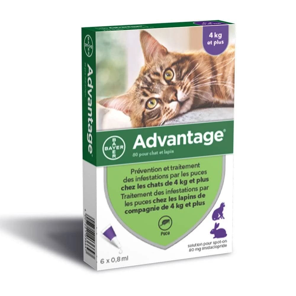 Advantage 80 Pour Grand Chat Et Lapin Plus De 4 Kilos 6x0.8ml