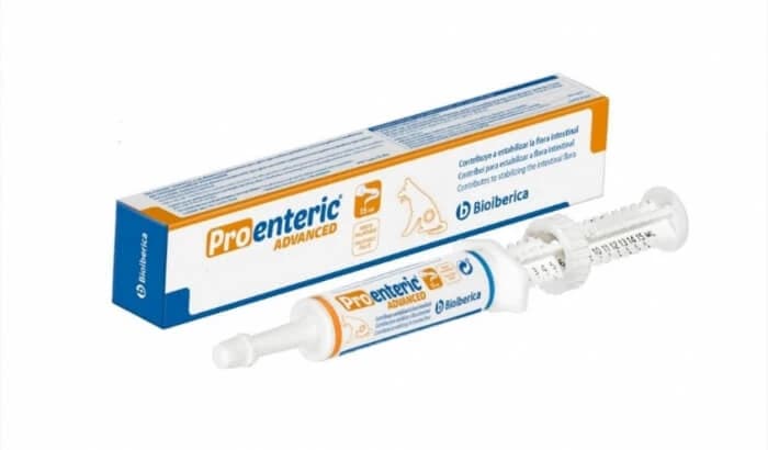 Pro-Enteric avancé, 30 ml