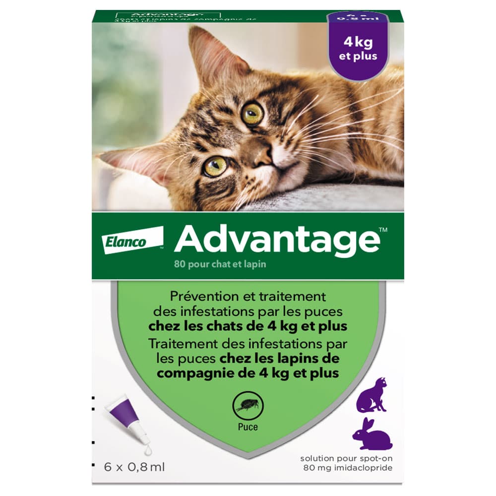 6 pipettes Ad-vantage 80 pour chat et lapin de plus de 4 kg