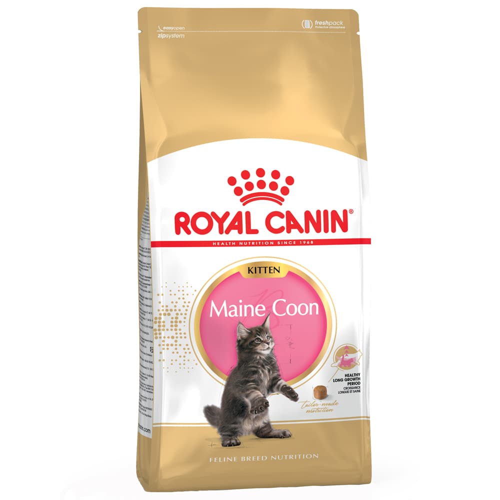 4kg Kitten Maine Coon Royal Canin Croquettes pour chaton