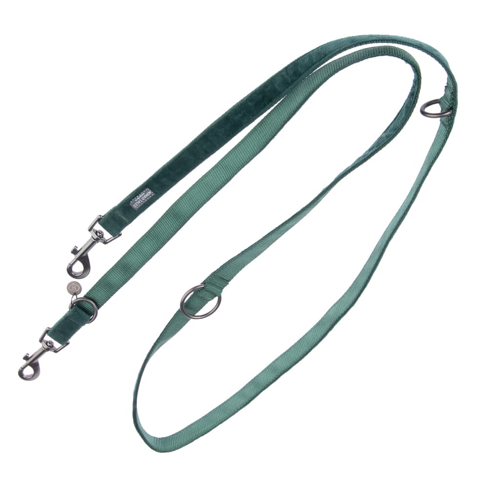 Laisse Nomad Tales Blush, émeraude pour chien  - L 200 cm, l 20 mm