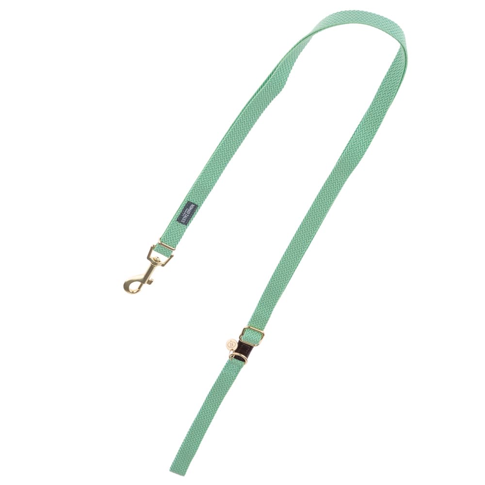 Laisse Nomad Tales Bloom, menthe pour chien - L 200 cm, l 20 mm