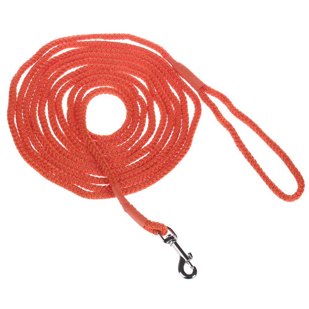 Longe Heim, orange L 1 000 x l 0,6 cm - pour chien