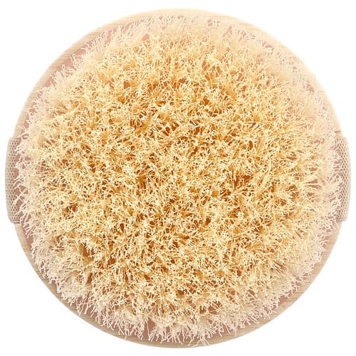 EcoTools, Brosse corporelle pour le brossage à sec, 1 brosse