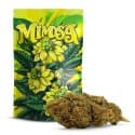 MIMOSA 30% FLEUR 10-OH+, Gramme: 3g