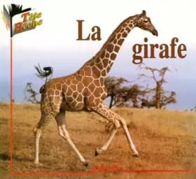 La girafe - PEMF