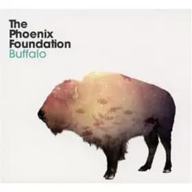 Buffalo - The Phoenix Foundation