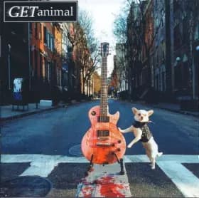 Get Animal - Get Animal