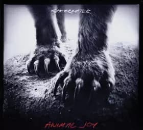 Animal Joy - Shearwater