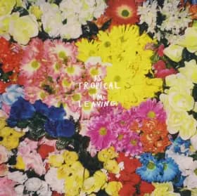 I'm Leaving - Is Tropical