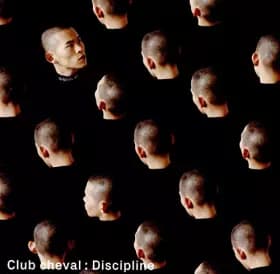 Discipline - Club Cheval