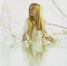 Libellule [Import] - Marina