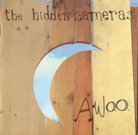 Awoo - The Hidden Cameras