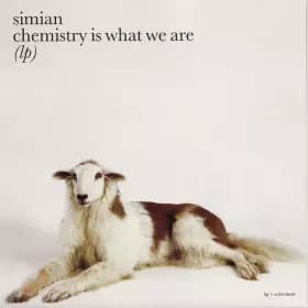 Chemistry Is What We Are (LP) - Simian
