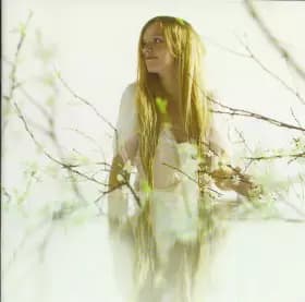 Libellule - Marina Venache