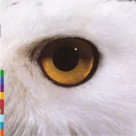 Gula Gula - Mari Boine