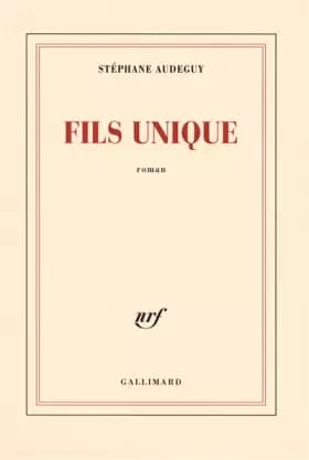 Fils unique - Stéphane Audeguy