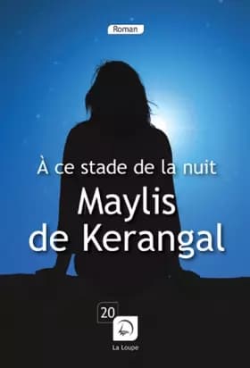A ce stade de la nuit - Maylis de Kerangal