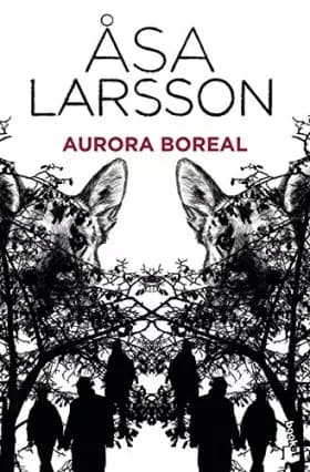 Aurora boreal - ASA LARSSON