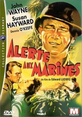 Alerte aux Marines - Edward Ludwig