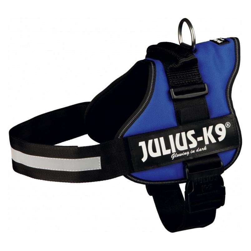 Julius-K9 Harnais Power pour grands chiens ergonomique (3, XXL, Chien), Collier + laisse