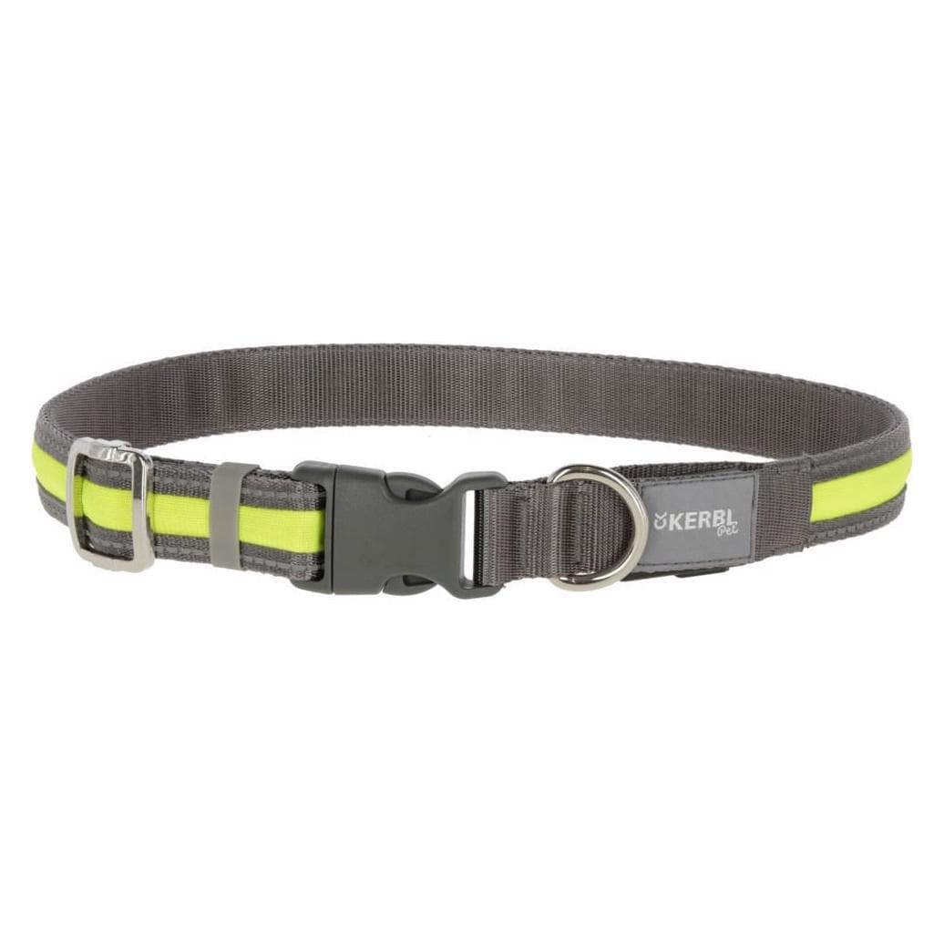 Kerbl Collier lumineux Light & Reflex (45, 46, 47, 48, 49, 50, 52, 54, 56, 58, 60, 62, Chien), Collier + laisse