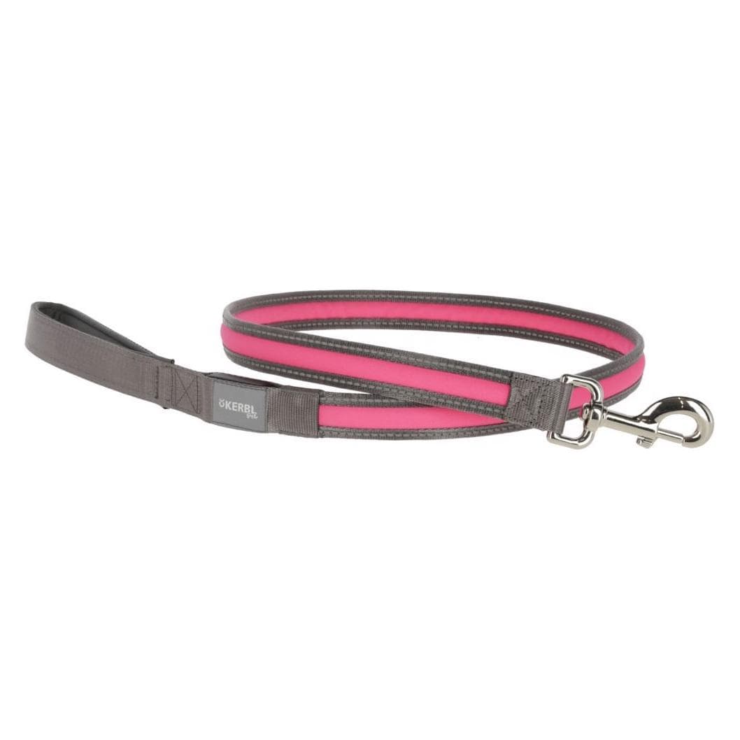 Kerbl Laisse lumineuse Light & Reflex (Chien), Collier + laisse