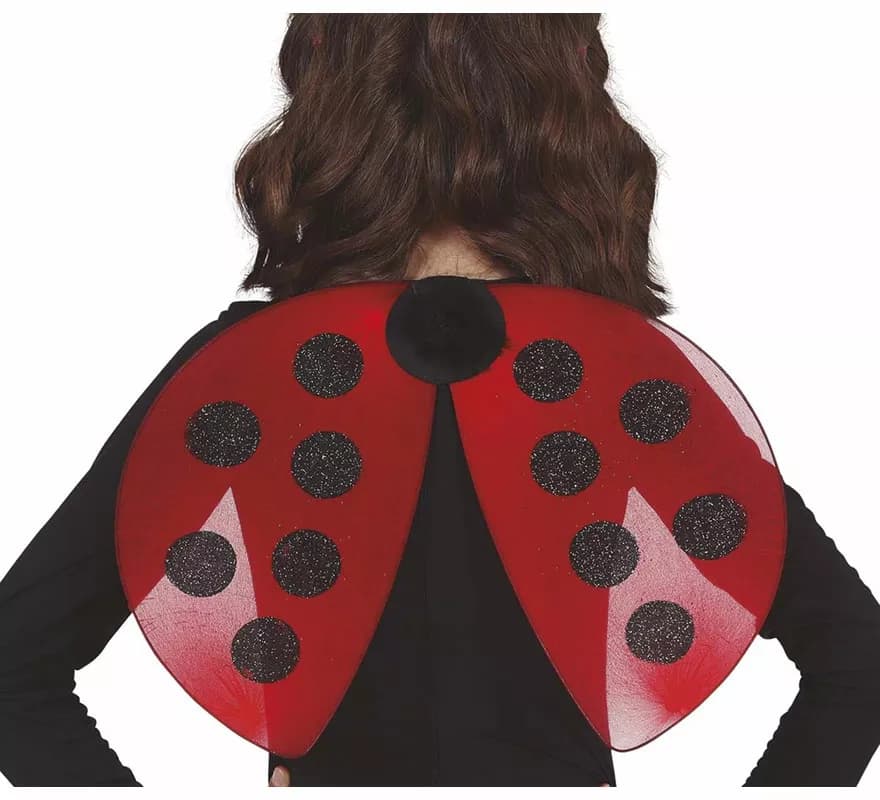 Ailes de coccinelle rouge et noire 40x30 cm