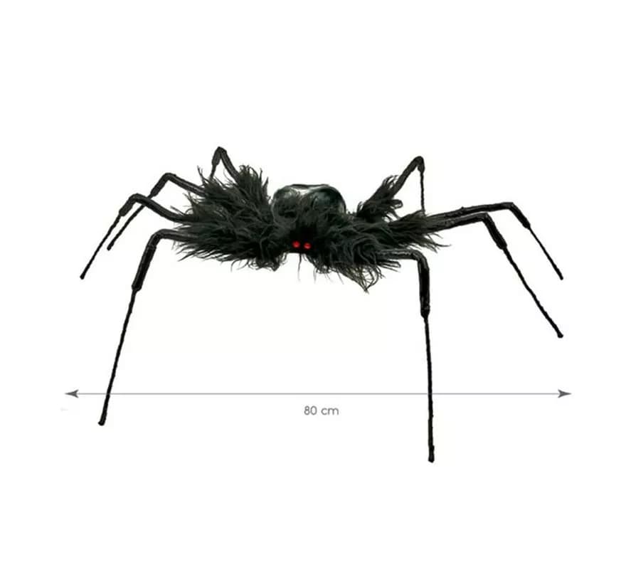 Tarentule poilue noire de 80 cm
