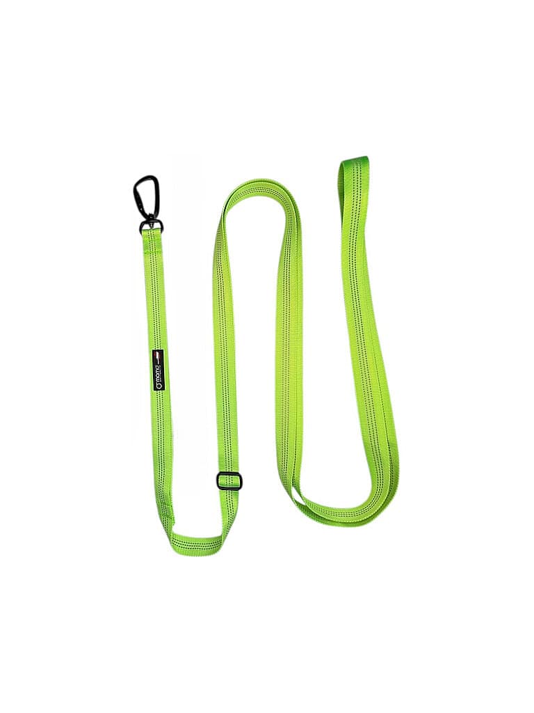MAMO PET SPORTS Laisse Active Mountain vert
