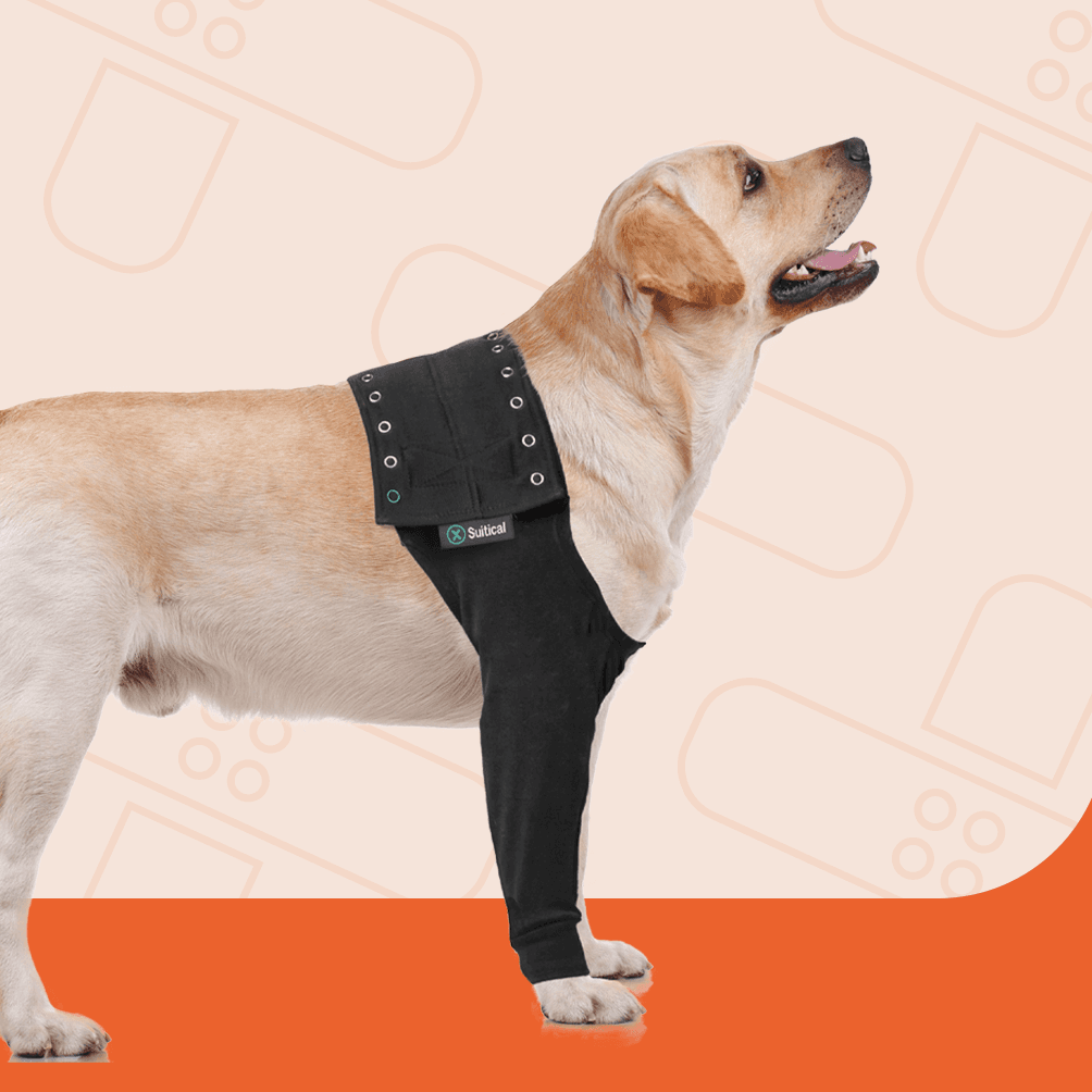 Suitical - Recovery Front Leg Single Sleeve Dog - Black - 1x - M