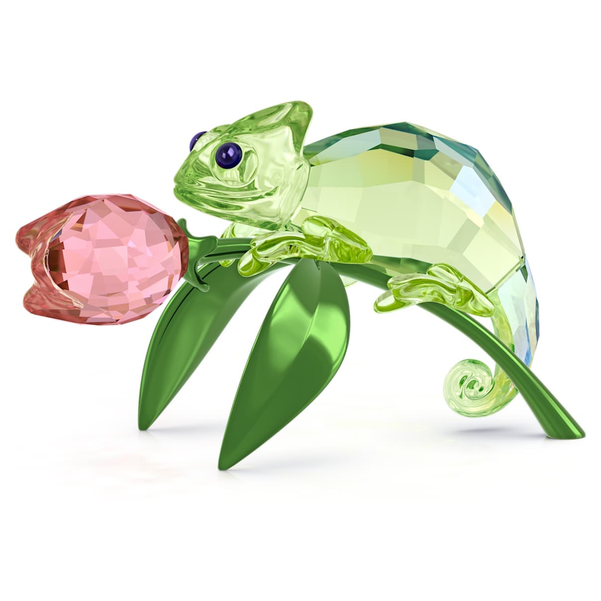 Idyllia Camaleón y tulipán