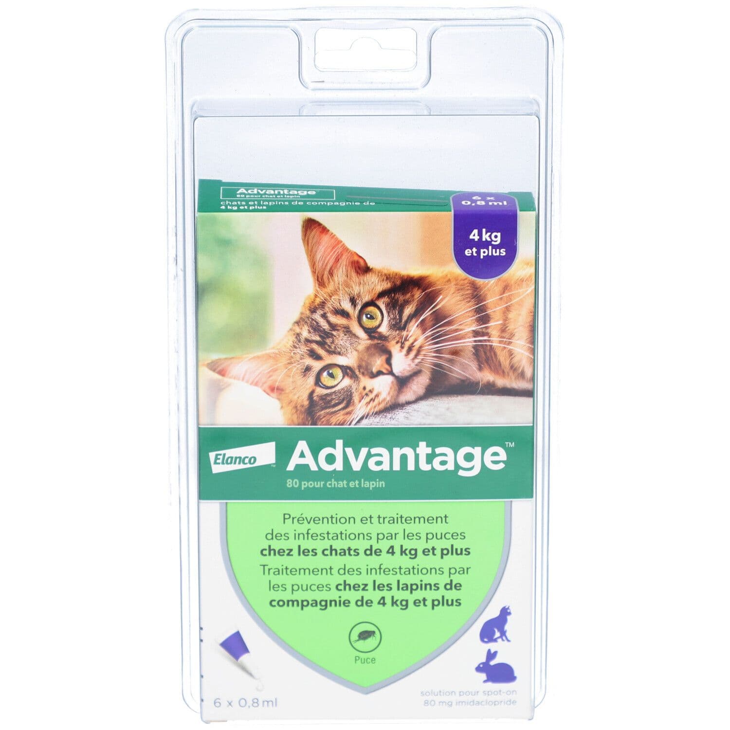 Advantage 80 pour chat et lapin Pipette(S) Unidose(S) 6x0,8 ml