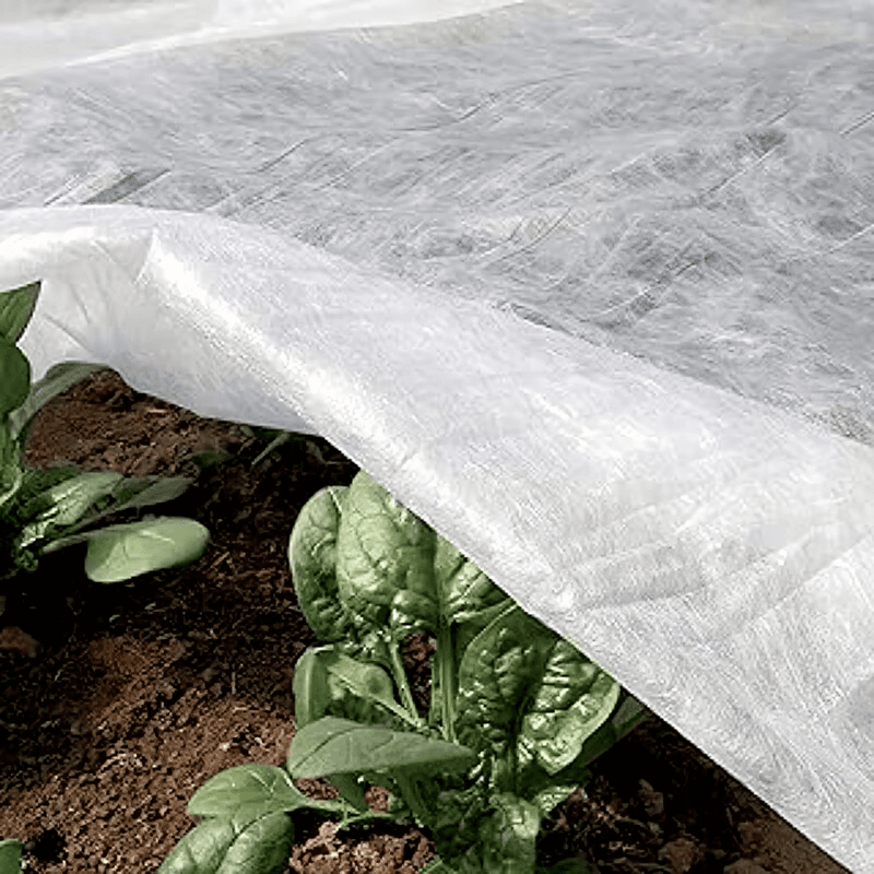 TENAX Voile d’hivernage anti-gel 30 g/m² - 2 x 20 m