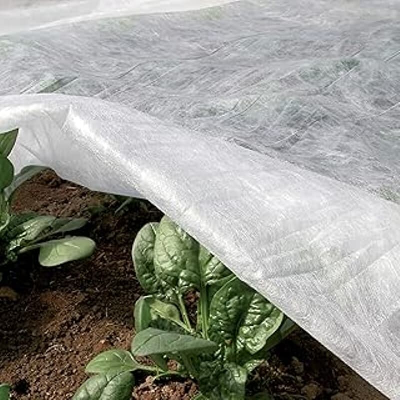 Tenax Ortoclima Plus Voile d’hivernage pour plantes - 2,4 x 10 m