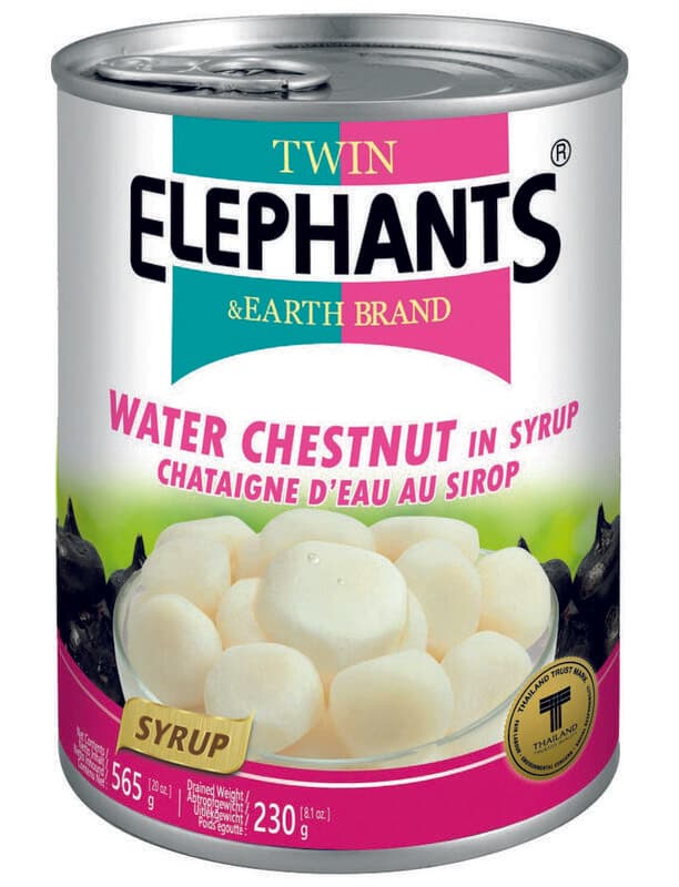 Twin Elephants Châtaignes d’eau en sirop - 565 g