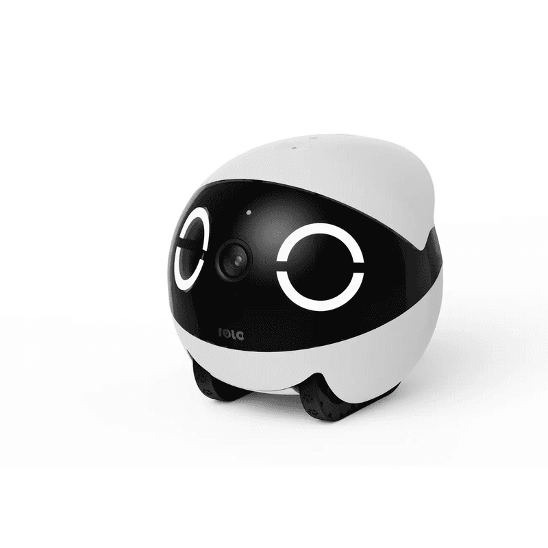 ENABOT ROLA Mini 2K Robot caméra pour animaux (Blanc), surveillance HD, compagnon à distance, interaction en temps réel, convient aux chiens et aux